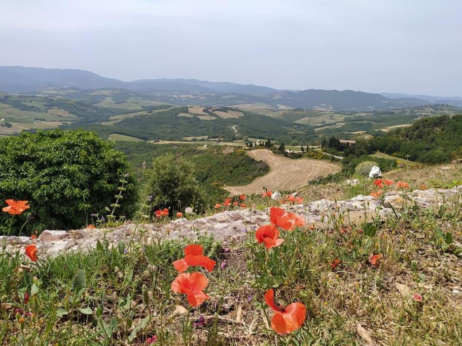 Casa Contadina In Borgo Medievale, Tuscany Monteguidi Εξωτερικό φωτογραφία